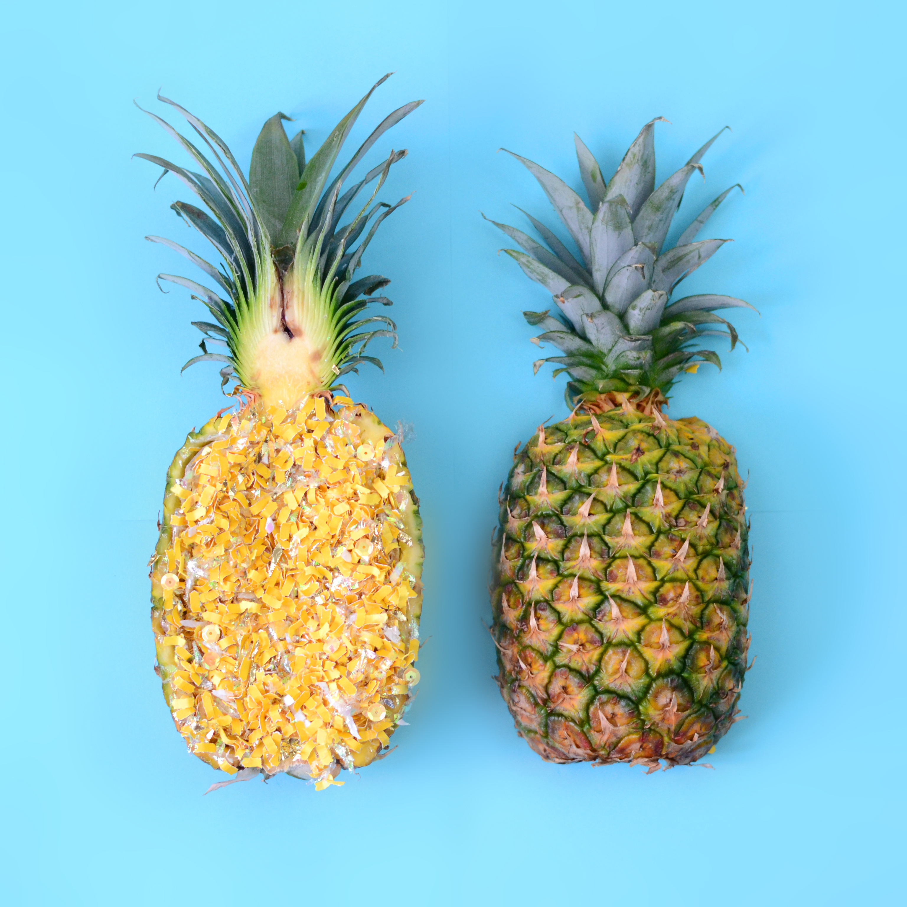 Confetti Pineapple | JSH